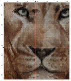 Lion Cross-Stitch Pattern